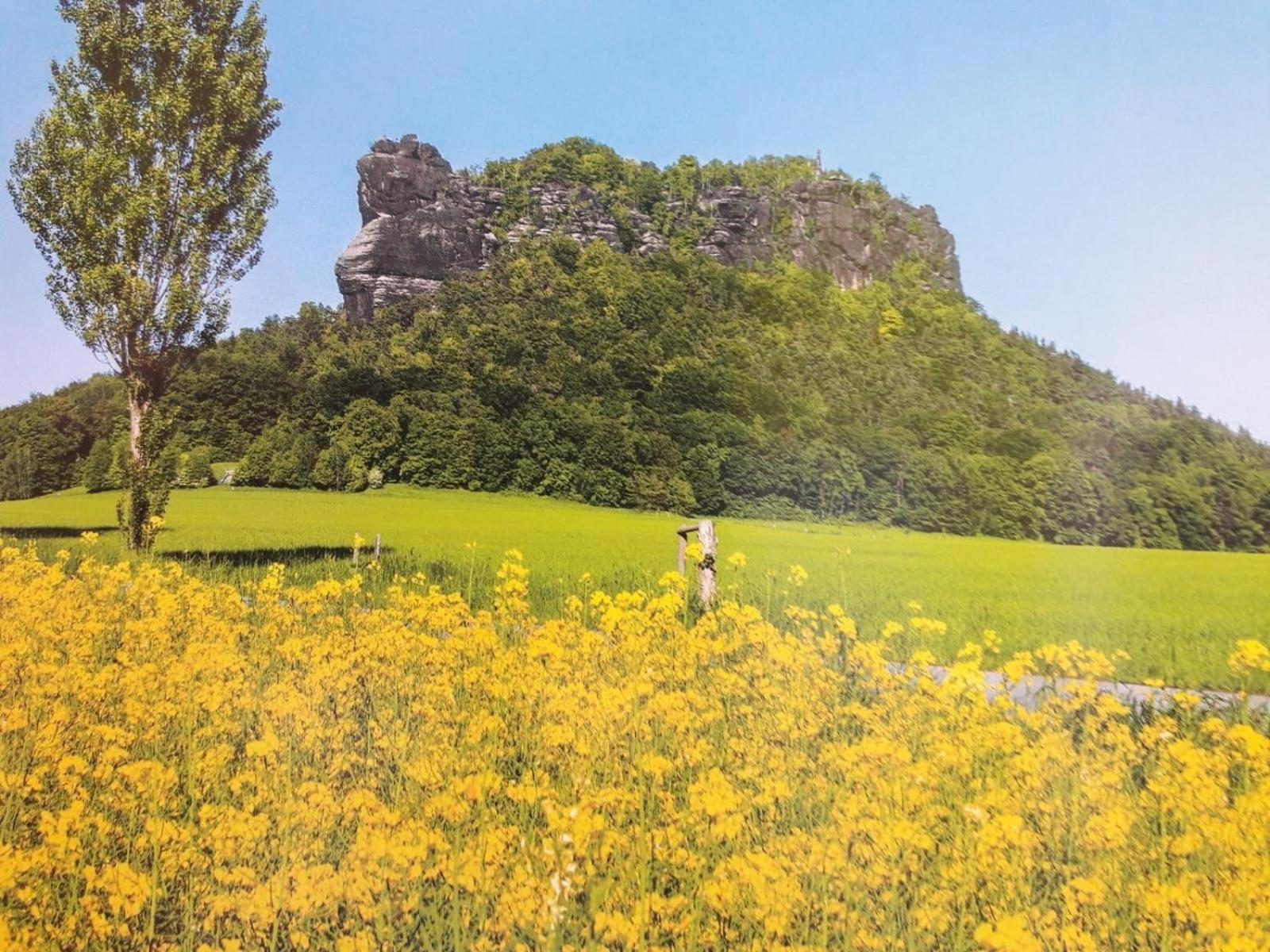 Ferienwohnung-Ritscher-In-Lichtenhain-2 Lichtenhain  ภายนอก รูปภาพ